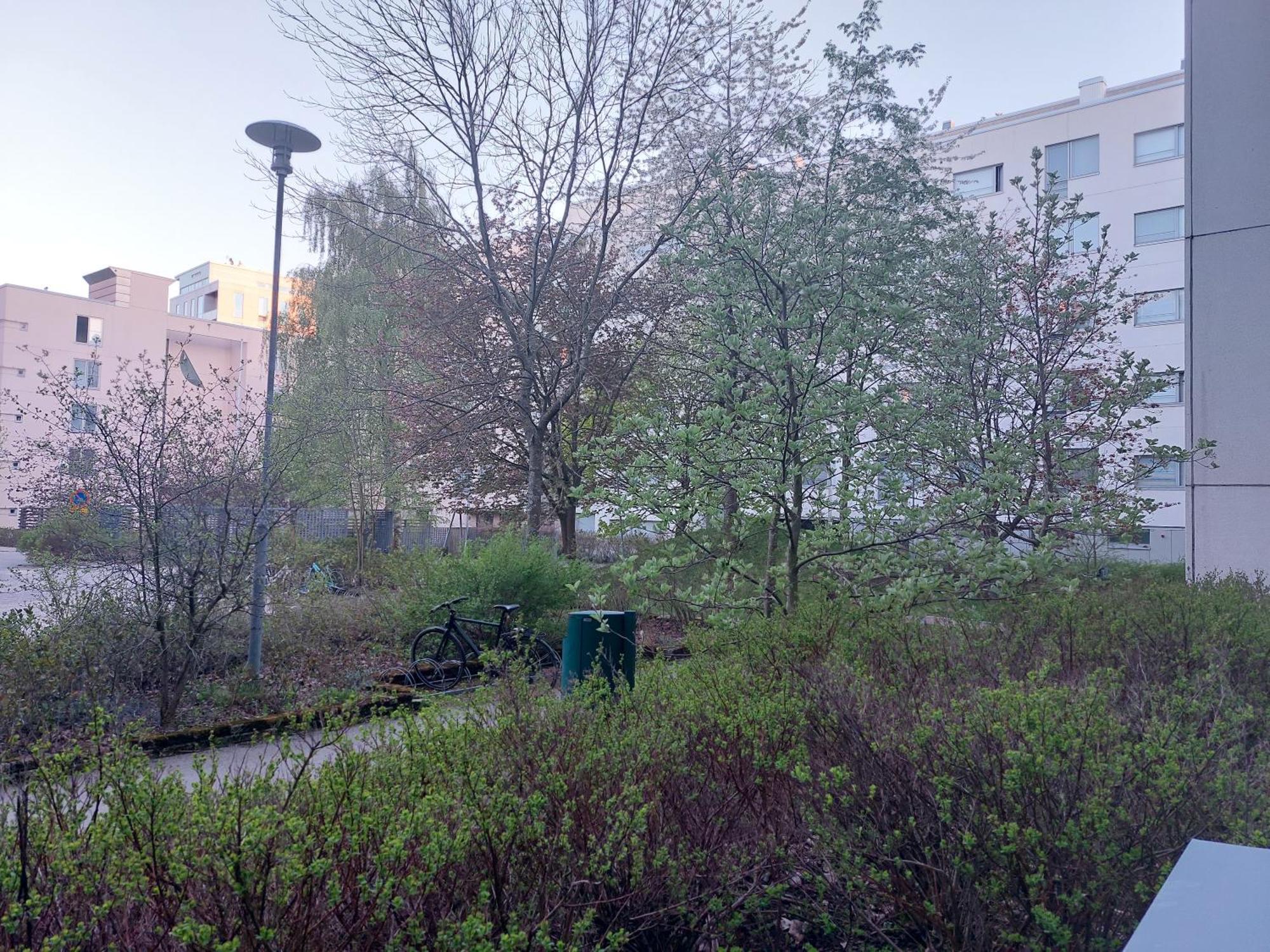 Saunallinen Kolmio Jaetkaesaaressa Helsinki Extérieur photo